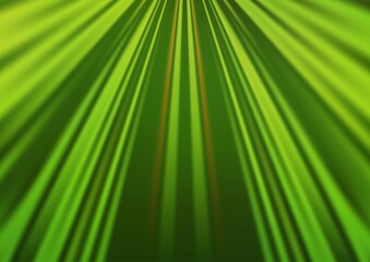 Obraz premium Light Green vector backdrop with long lines.