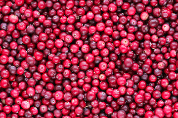 Ripe fresh cranberries as natural, food, berries background	