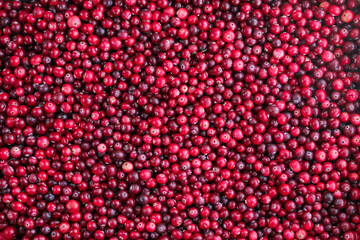 Ripe fresh cranberries as natural, food, berries background	