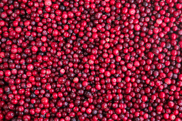 Ripe fresh cranberries as natural, food, berries background	