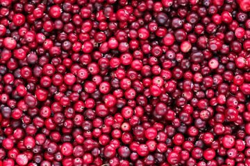 Ripe fresh cranberries as natural, food, berries background	