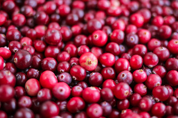 Ripe fresh cranberries as natural, food, berries background	