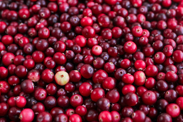 Ripe fresh cranberries as natural, food, berries background	