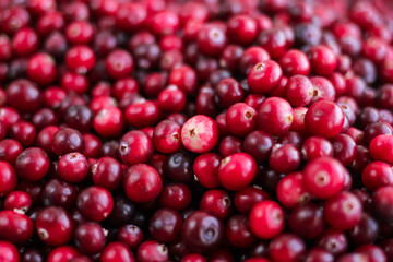 Ripe fresh cranberries as natural, food, berries background	