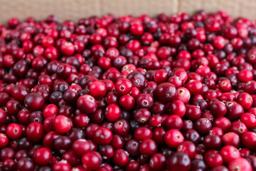 Ripe fresh cranberries as natural, food, berries background	