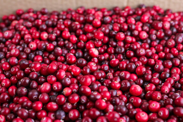 Ripe fresh cranberries as natural, food, berries background	