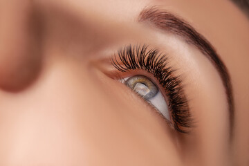 Eyelash Extension Procedure. Woman Eye with Long Eyelashes. Close up, selective focus. - 385751323