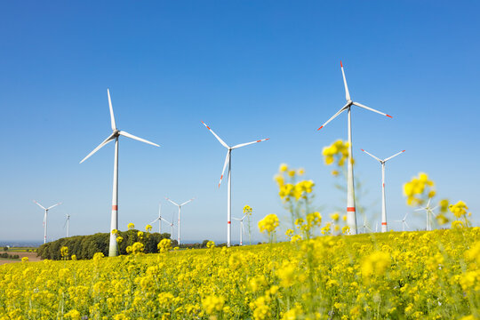 Windpark vor einem Rapsfeld