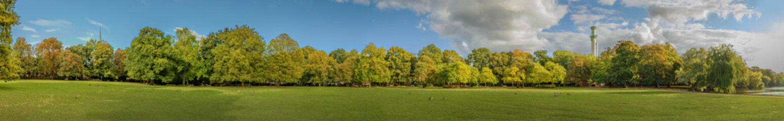 Fototapeta na wymiar Beautiful large panorama of an autumnal park with bright yellow foliage, sunlight and grazing wild geese and power plant on background . Panorama view of autumn mood in park with lake in city.