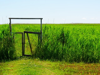 Holztor im Feld