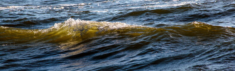 Fototapeta premium A wave in the sea