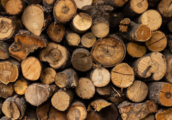 stack of firewood