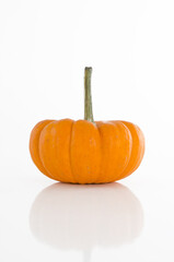 Obraz premium Small pumpkin