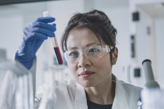 Female scientist studying a sample in a test tube