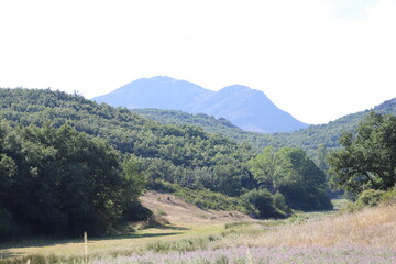 Castilla y León. León. 