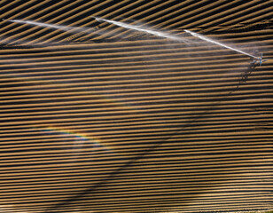 Intense agriculture fiekd being irrigatedwith huge amounts of water on a hot summer day - aerial image