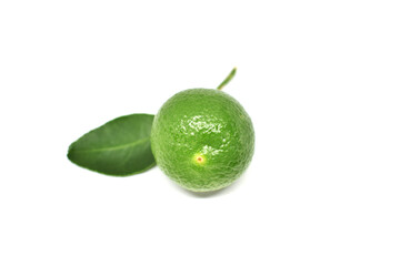 lime on a white background
