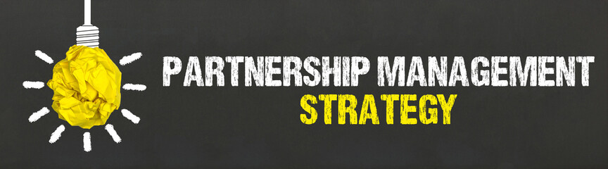 Partnership Management Strategy 