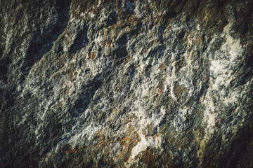 Stone gray texture, background in grunge style.