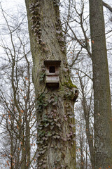 nestbox hanging on tree in winter
