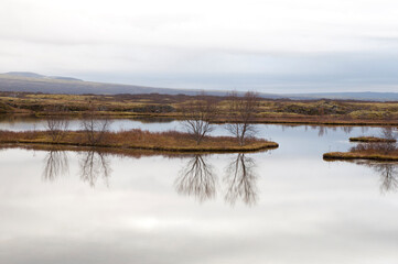 cloudy landscape with reflected trees in the water of Thingvellir National Park