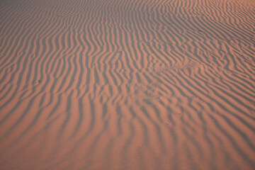 ripples in the sand