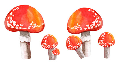 Fly agaric watercolor set isolated on white background. Red toadstool mushroom for logo, banner, poster, sticker, postcard
