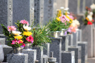 墓石と仏花