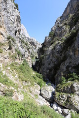 Castilla y León. León. Picos de Europa. Caín. El Cares