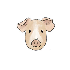 Character face of cute pig animal 