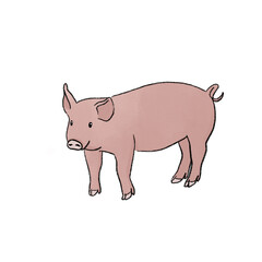 pig cartoon character