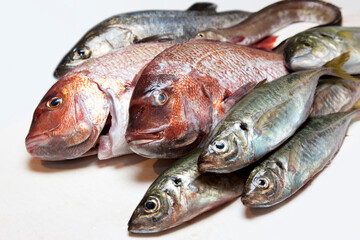 鮮魚