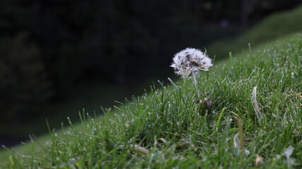 Weekend in Scotland © Daniele