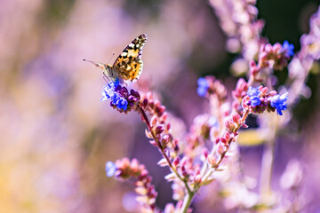 Beautifull backgrounds with floral themes © dominikab