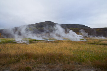 
valley of geysers with steam from underground yellow grass mountain in Iceland
