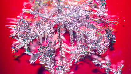 Snowflakes on a red background with reflection.