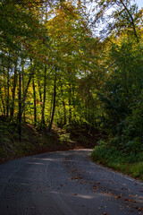 Autumn at its best colors 