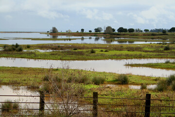Wetlands of Cota Do&ntilde;ana national park near ElRocio, Andalucia, Spain