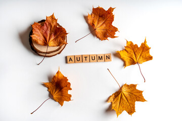 Autumn composition with letters. Frame of autumn dry leaves on a white background. Flat lay, top view, copy space