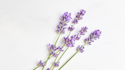 minimalistic lavender bouquet on marble background. flat lay, close-up