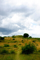 Fototapeta premium A path up at the hill with the cloudy sky above