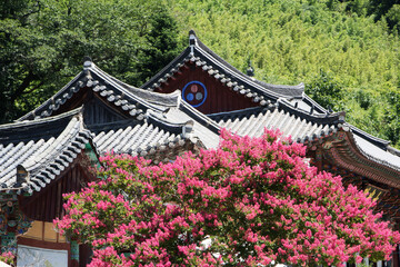 beautiful Grape Myrtle
