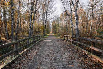 Wooden bridge over a small river, leaving the road through the forest, sunny autumn forest. Finnish nature