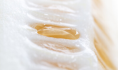 Seeds on a ripe cucumber close-up.