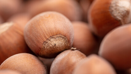 Close up of hazelnuts as background