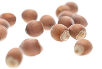 Hazelnuts isolated on a white background.