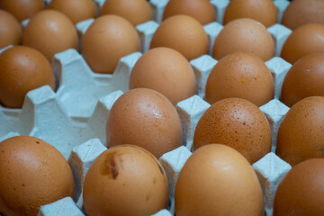 There are many eggs in the panel.