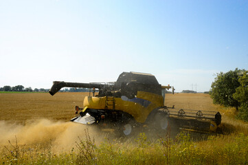Combine harvester harvest a field of wheat