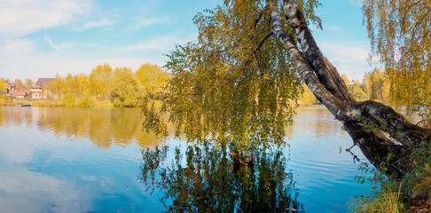 reflection of trees in water