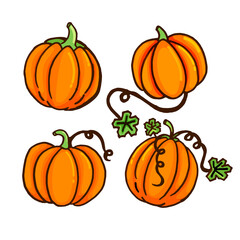 set of pumpkins for halloween vector illustration isolated on white background. hand drawn vector. doodle halloween party. cute dan fresh pumpkin for sticker, clip art, logo, wallpaper, cover, poster.